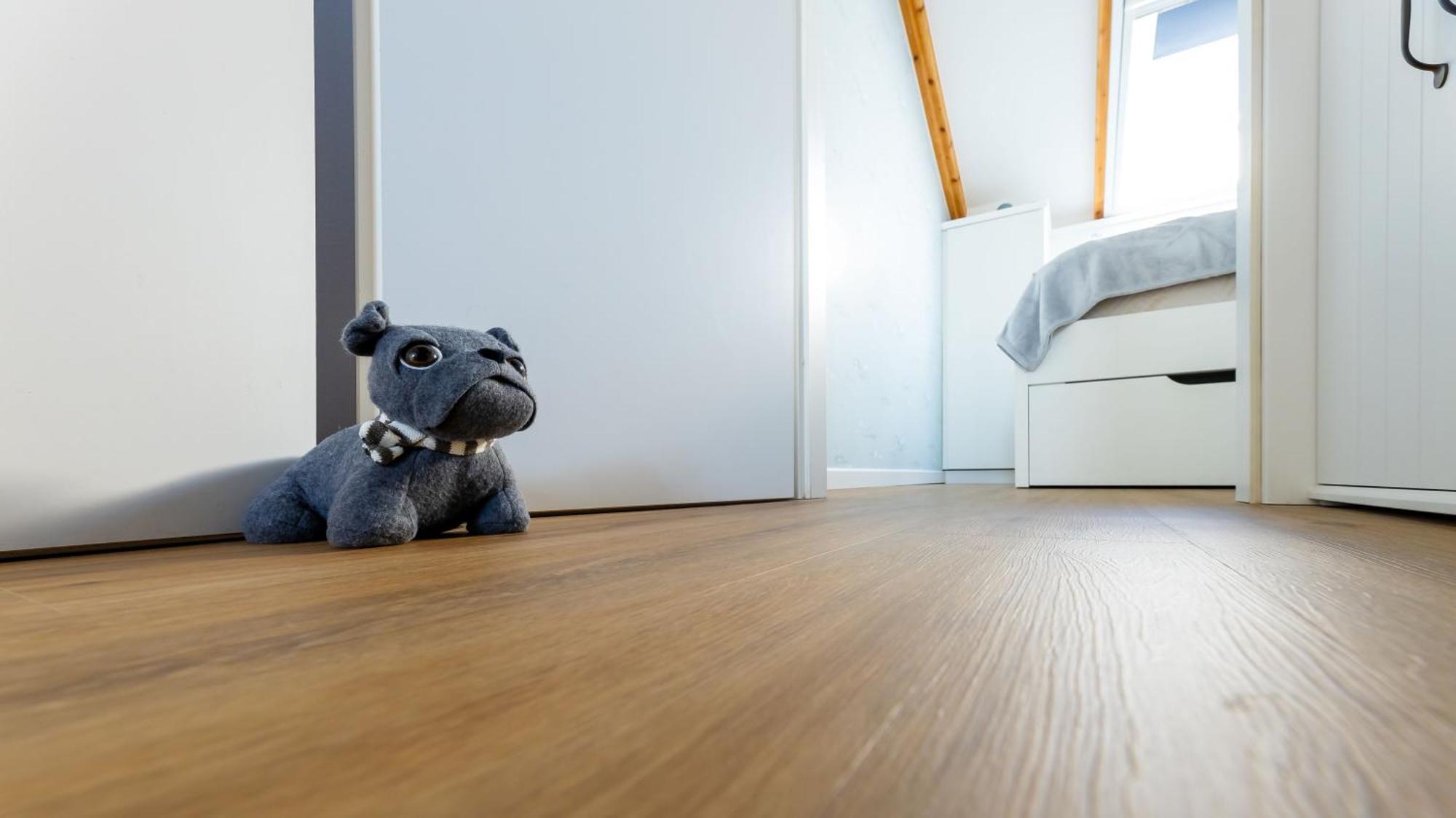 Haus Seeblick Mit 9 Wohnungen Alt Reddevitz エクステリア 写真