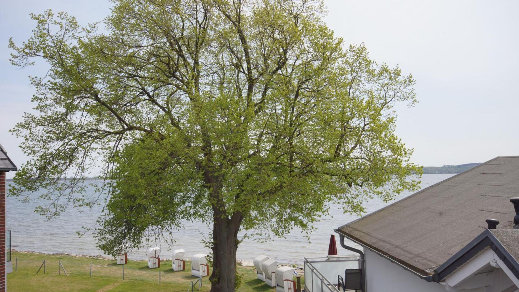 Haus Seeblick Mit 9 Wohnungen Alt Reddevitz エクステリア 写真